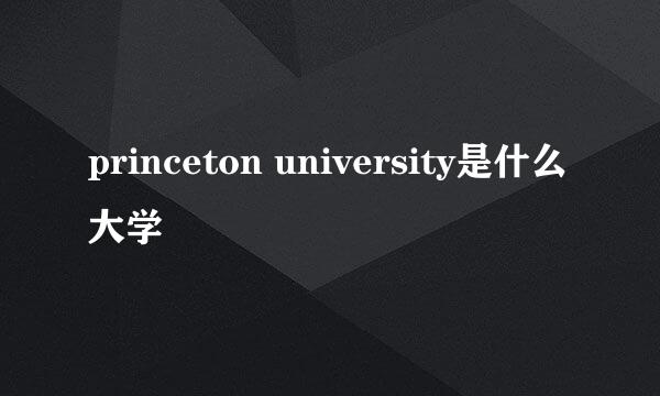 princeton university是什么大学