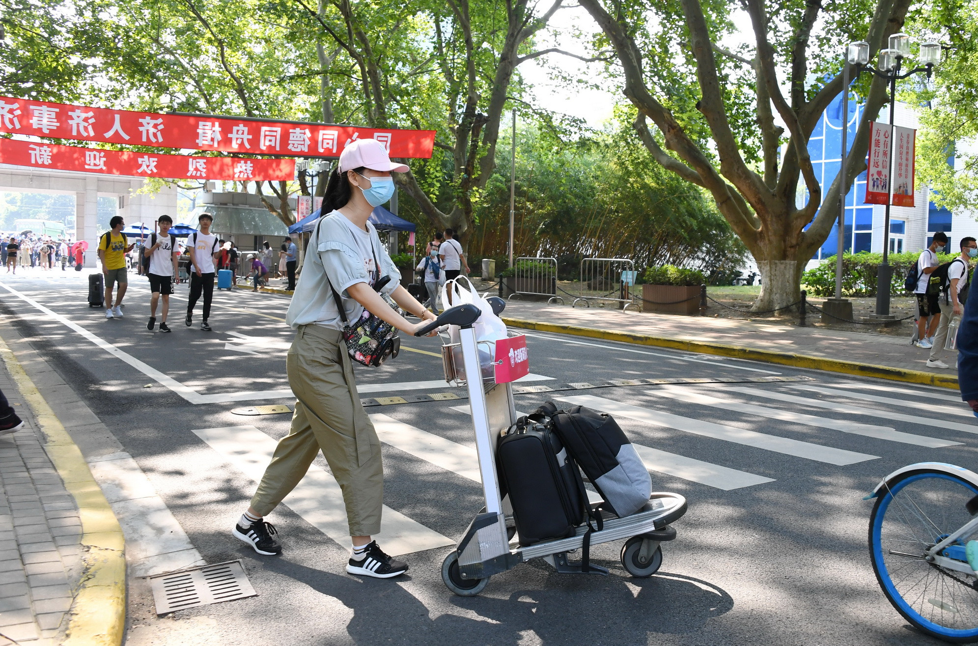 云南某大一新生携2米高盆栽开学，新生行李都有哪些令人眼花缭乱的东西？