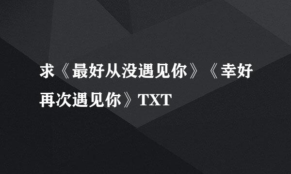 求《最好从没遇见你》《幸好再次遇见你》TXT