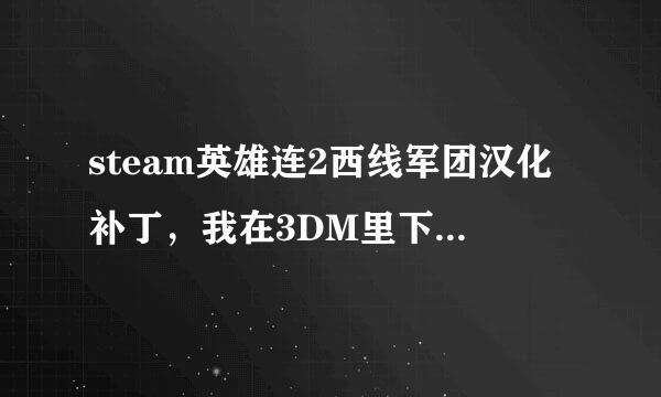 steam英雄连2西线军团汉化补丁，我在3DM里下了蒹葭汉化组V19补丁，可不懂得如何放到游戏目录，求大神教