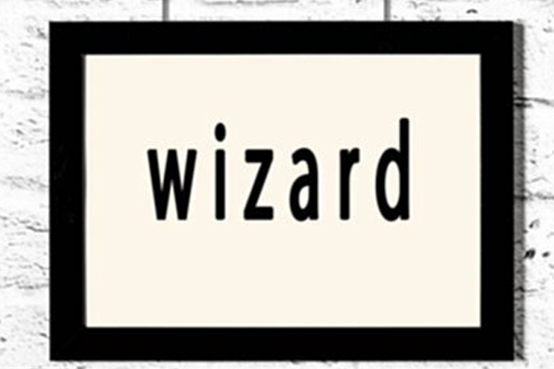 wizard什么意思