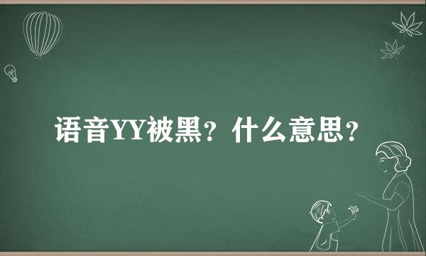 语音YY被黑？什么意思？