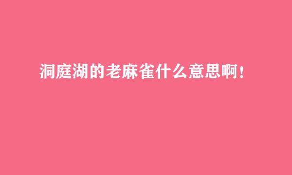 洞庭湖的老麻雀什么意思啊！