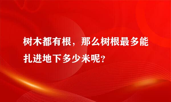 树木都有根，那么树根最多能扎进地下多少米呢？