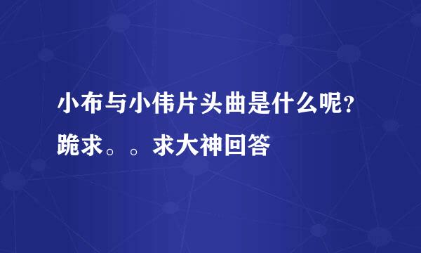 小布与小伟片头曲是什么呢？跪求。。求大神回答