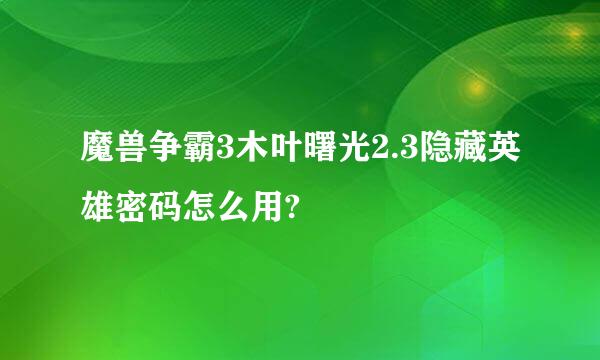 魔兽争霸3木叶曙光2.3隐藏英雄密码怎么用?