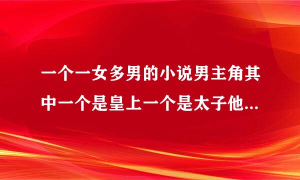 一个一女多男的小说男主角其中一个是皇上一个是太子他们两个爱上一个女人他们两个好像是姓莫