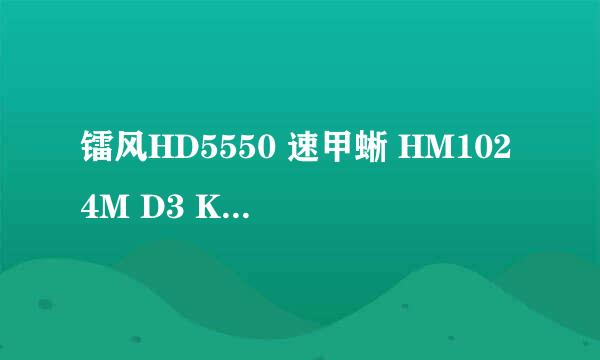 镭风HD5550 速甲蜥 HM1024M D3 K10 450元 贵不 性价比怎么样