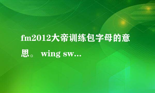 fm2012大帝训练包字母的意思。 wing sw poacher.还有后面+sb