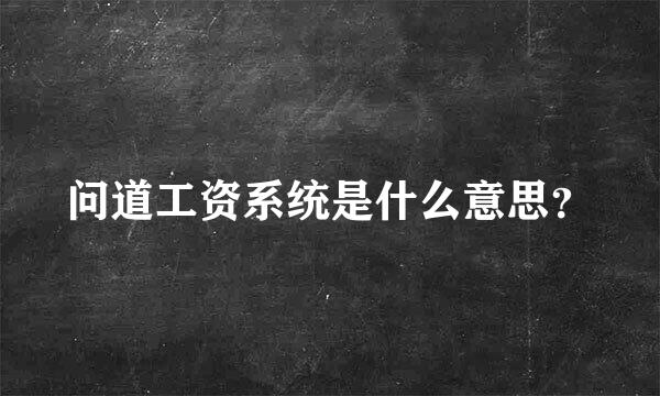 问道工资系统是什么意思？