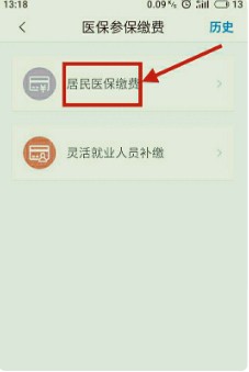 怎么在手机上交医疗保险