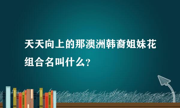 天天向上的那澳洲韩裔姐妹花组合名叫什么？