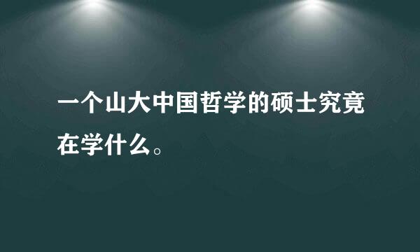 一个山大中国哲学的硕士究竟在学什么。