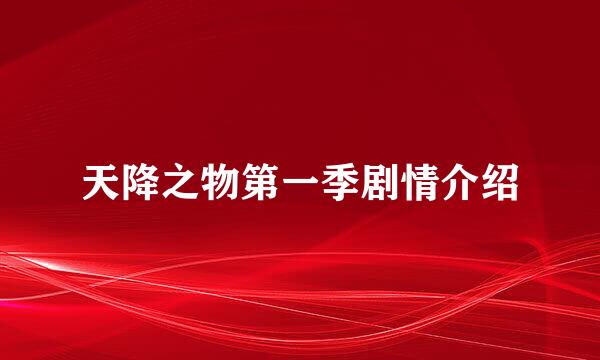 天降之物第一季剧情介绍