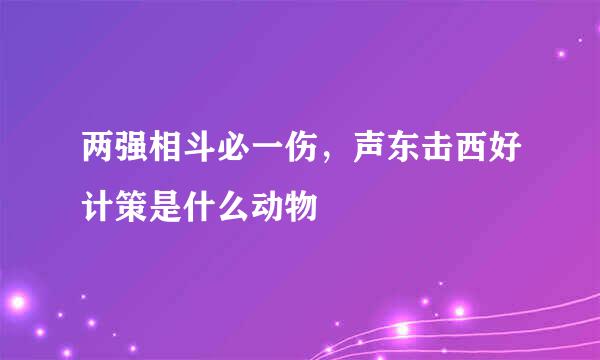 两强相斗必一伤，声东击西好计策是什么动物