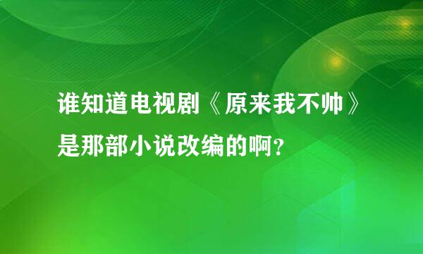 谁知道电视剧《原来我不帅》是那部小说改编的啊？