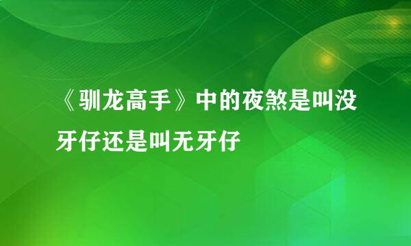 《驯龙高手》中的夜煞是叫没牙仔还是叫无牙仔