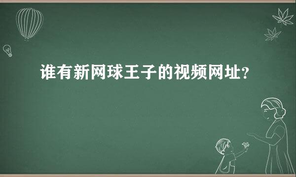 谁有新网球王子的视频网址？