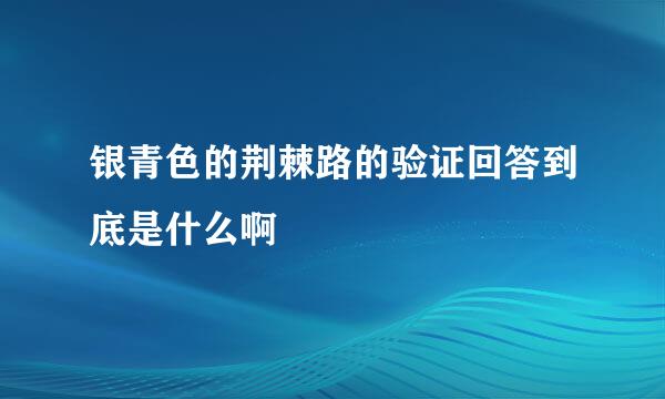 银青色的荆棘路的验证回答到底是什么啊