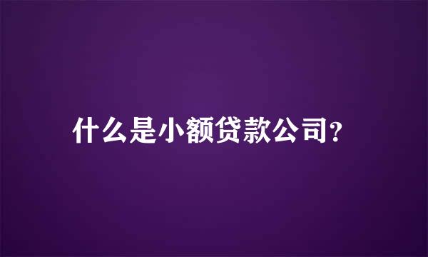 什么是小额贷款公司？