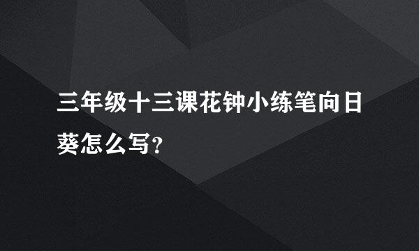 三年级十三课花钟小练笔向日葵怎么写？