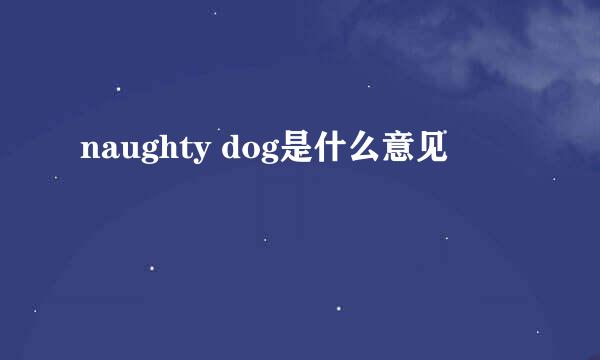 naughty dog是什么意见