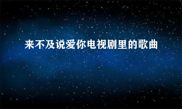 来不及说爱你电视剧里的歌曲