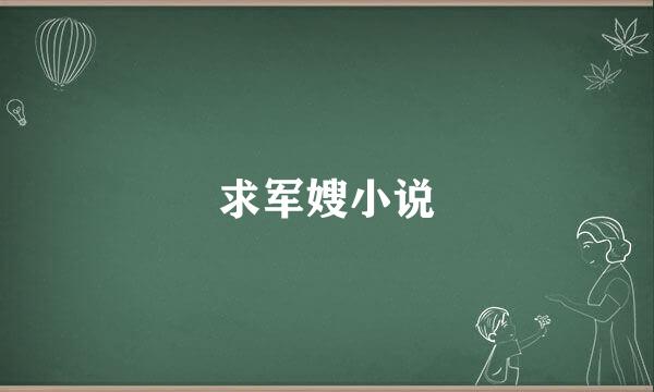 求军嫂小说