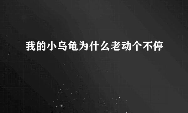 我的小乌龟为什么老动个不停