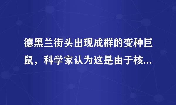 德黑兰街头出现成群的变种巨鼠，科学家认为这是由于核辐射造成的．相关叙述正确的是（　　）A．核辐射属