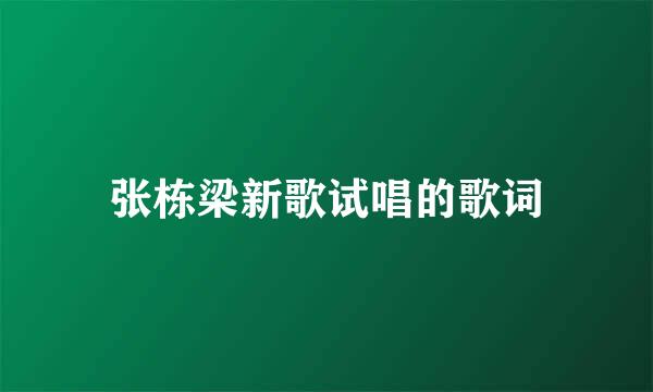 张栋梁新歌试唱的歌词