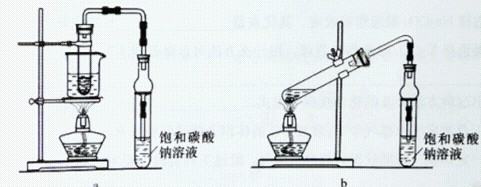 乙酸乙酯的制备