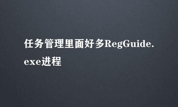 任务管理里面好多RegGuide.exe进程