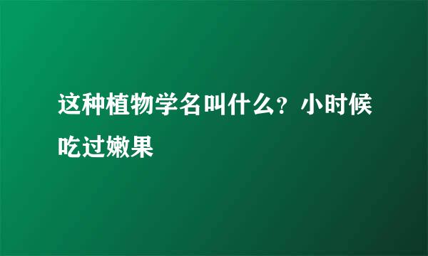 这种植物学名叫什么？小时候吃过嫩果