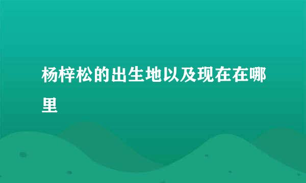 杨梓松的出生地以及现在在哪里