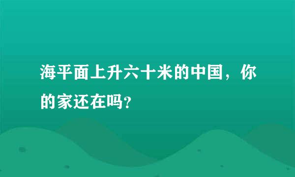 海平面上升六十米的中国，你的家还在吗？