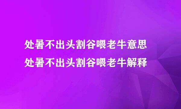 处暑不出头割谷喂老牛意思 处暑不出头割谷喂老牛解释