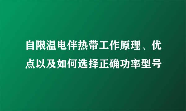 自限温电伴热带工作原理、优点以及如何选择正确功率型号