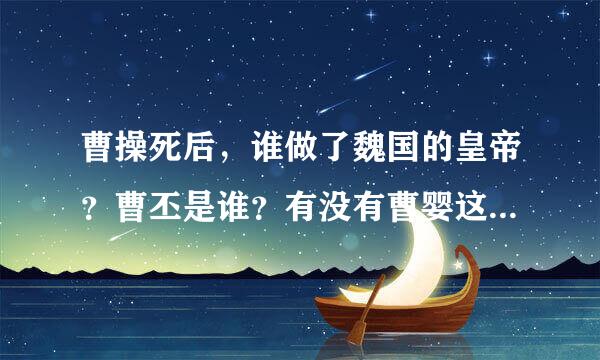 曹操死后，谁做了魏国的皇帝？曹丕是谁？有没有曹婴这个嫡亲孙女一说？