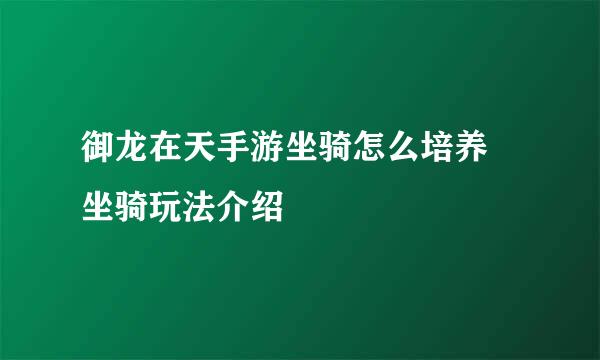 御龙在天手游坐骑怎么培养 坐骑玩法介绍