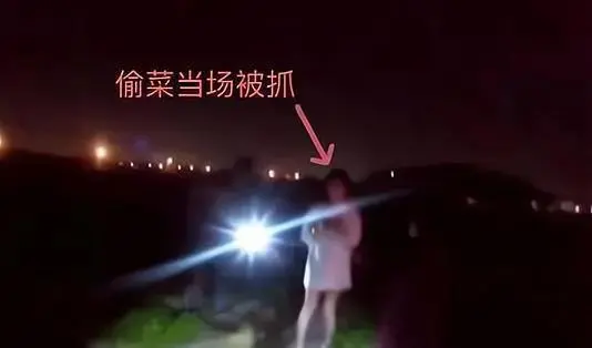 浙江4名女子为寻刺激半夜开豪车偷菜，最终是如何被警方找到的？