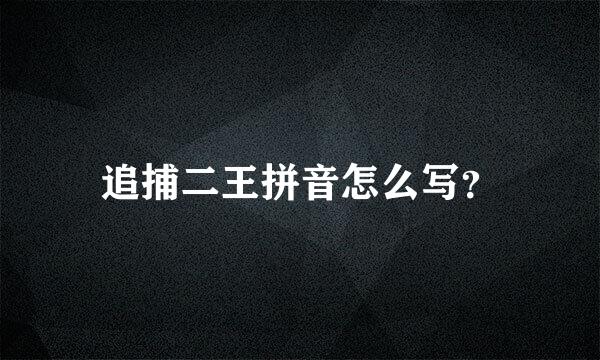 追捕二王拼音怎么写？