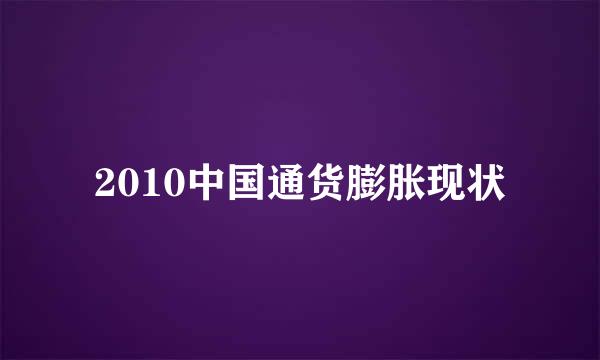 2010中国通货膨胀现状