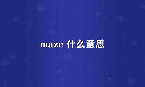 maze 什么意思