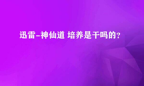 迅雷-神仙道 培养是干吗的？