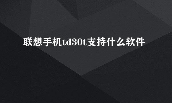 联想手机td30t支持什么软件