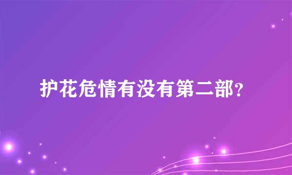 护花危情有没有第二部？