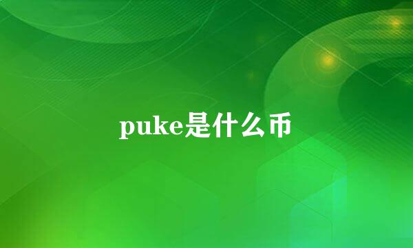 puke是什么币