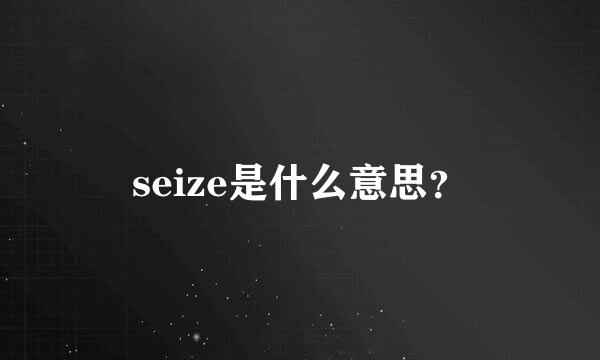 seize是什么意思？