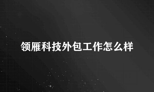 领雁科技外包工作怎么样